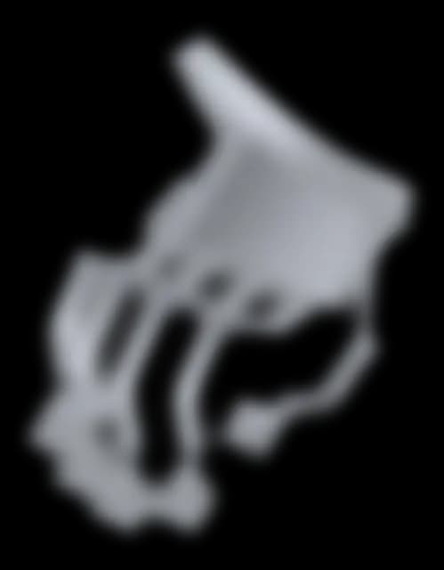 Data Glove